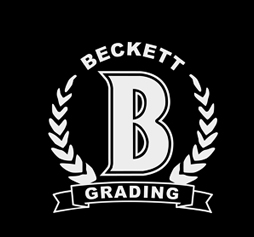 BGS Base Grading Services